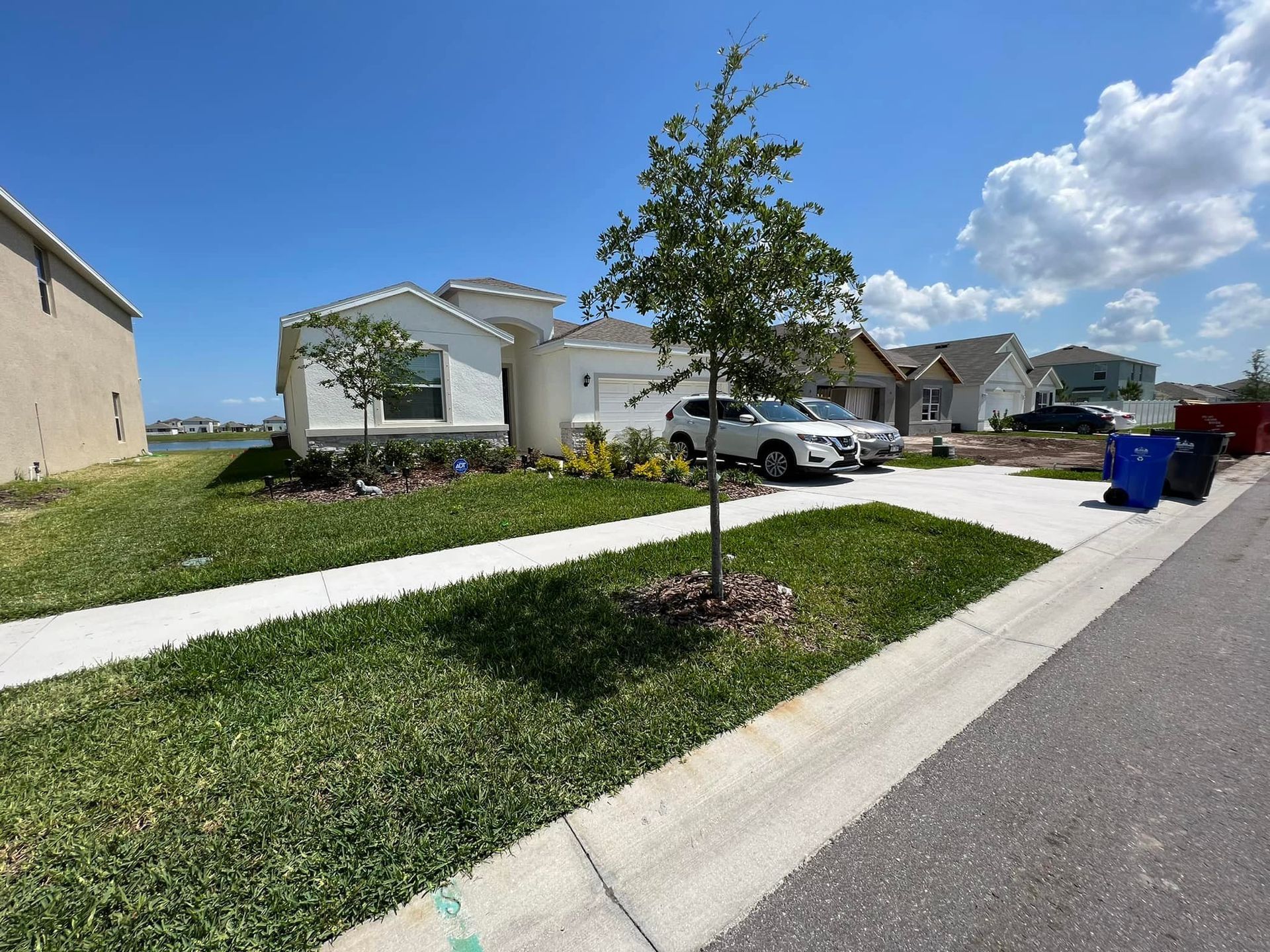 A white house with a tree in front of it