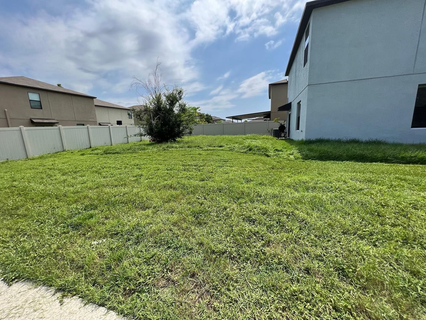 A large lawn in front of a house with a white fence.