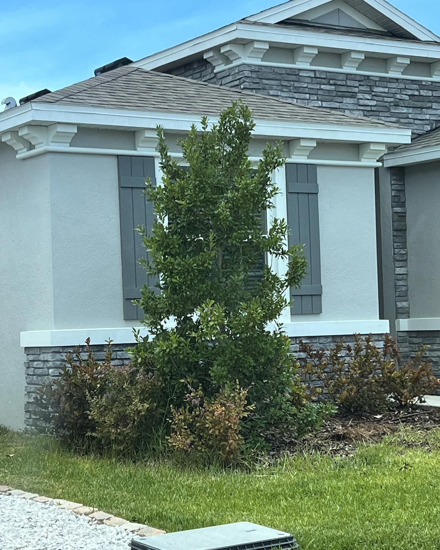 A white house with a tree in front of it