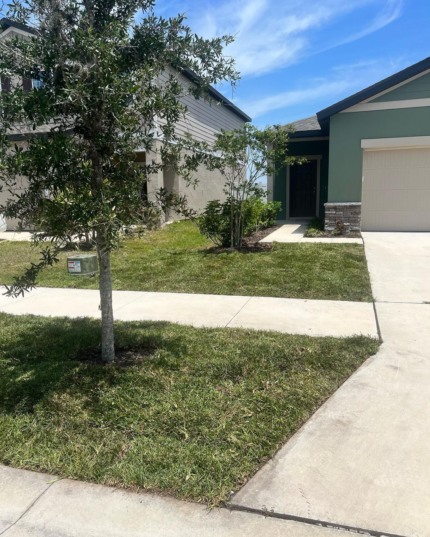 A house with a lush green lawn and a tree in front of it.