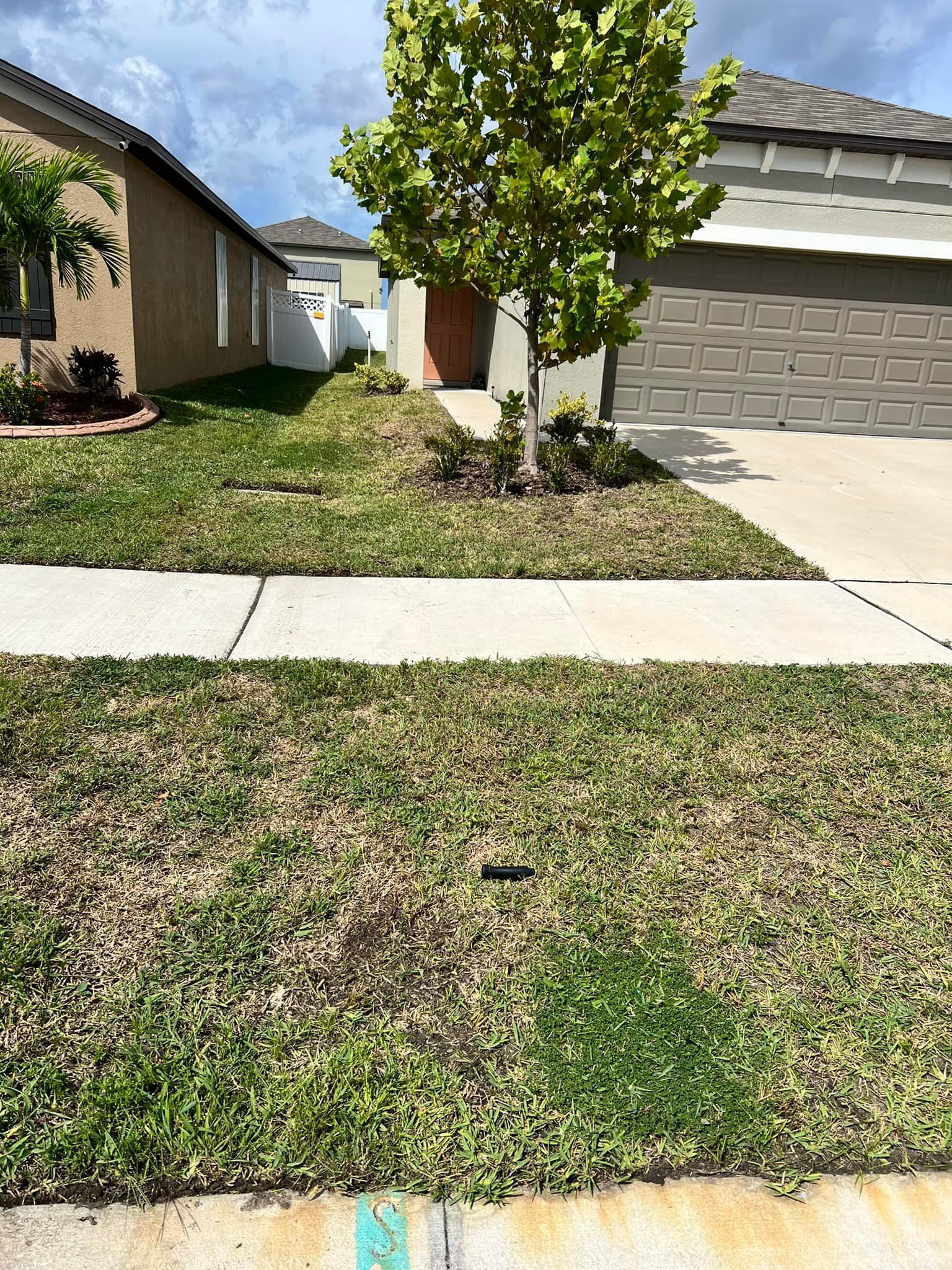 A house with a lush green lawn and a tree in front of it.