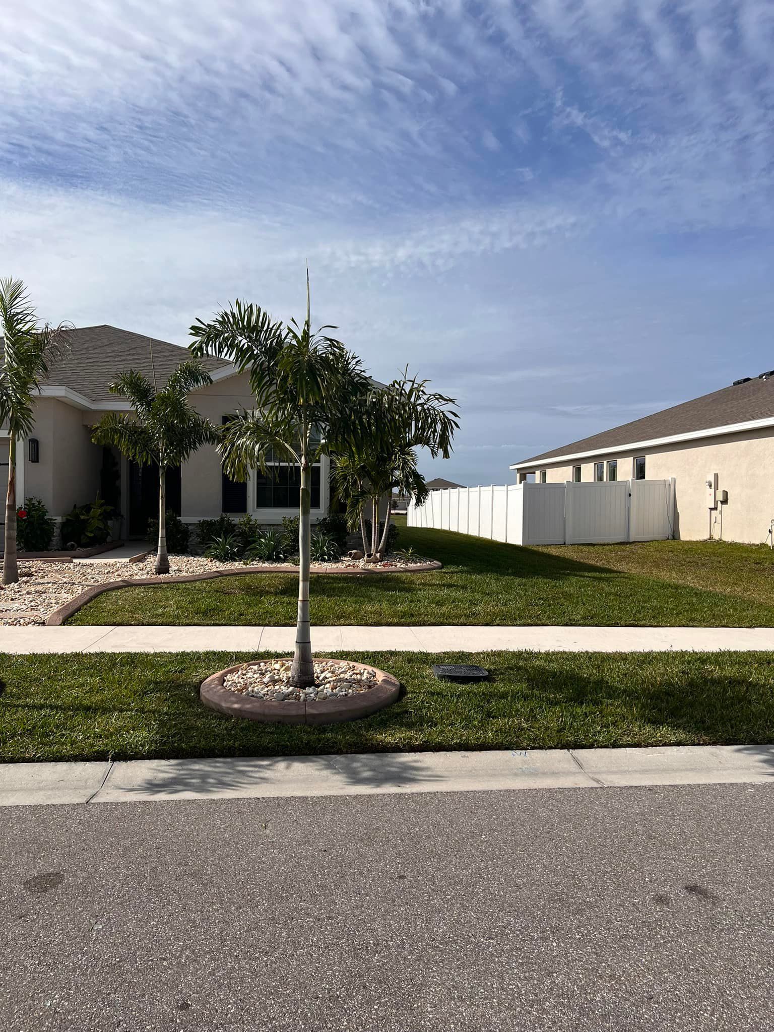 A house with a tree in front of it in a residential area.