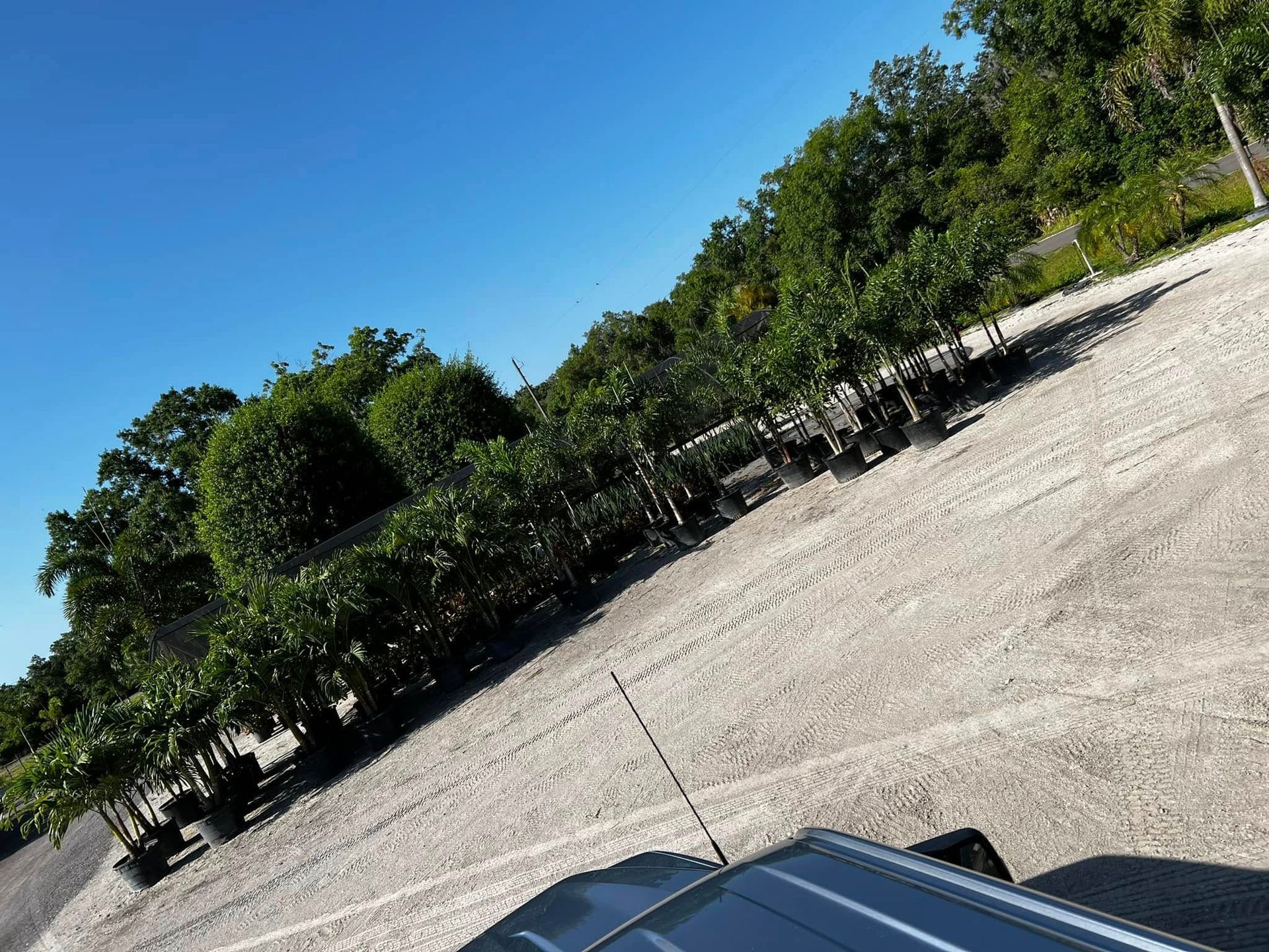 A car is parked in a parking lot with trees in the background