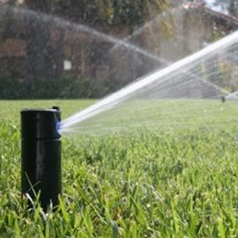 Sprinkler Head - Irrigation services in Midlothian VA
