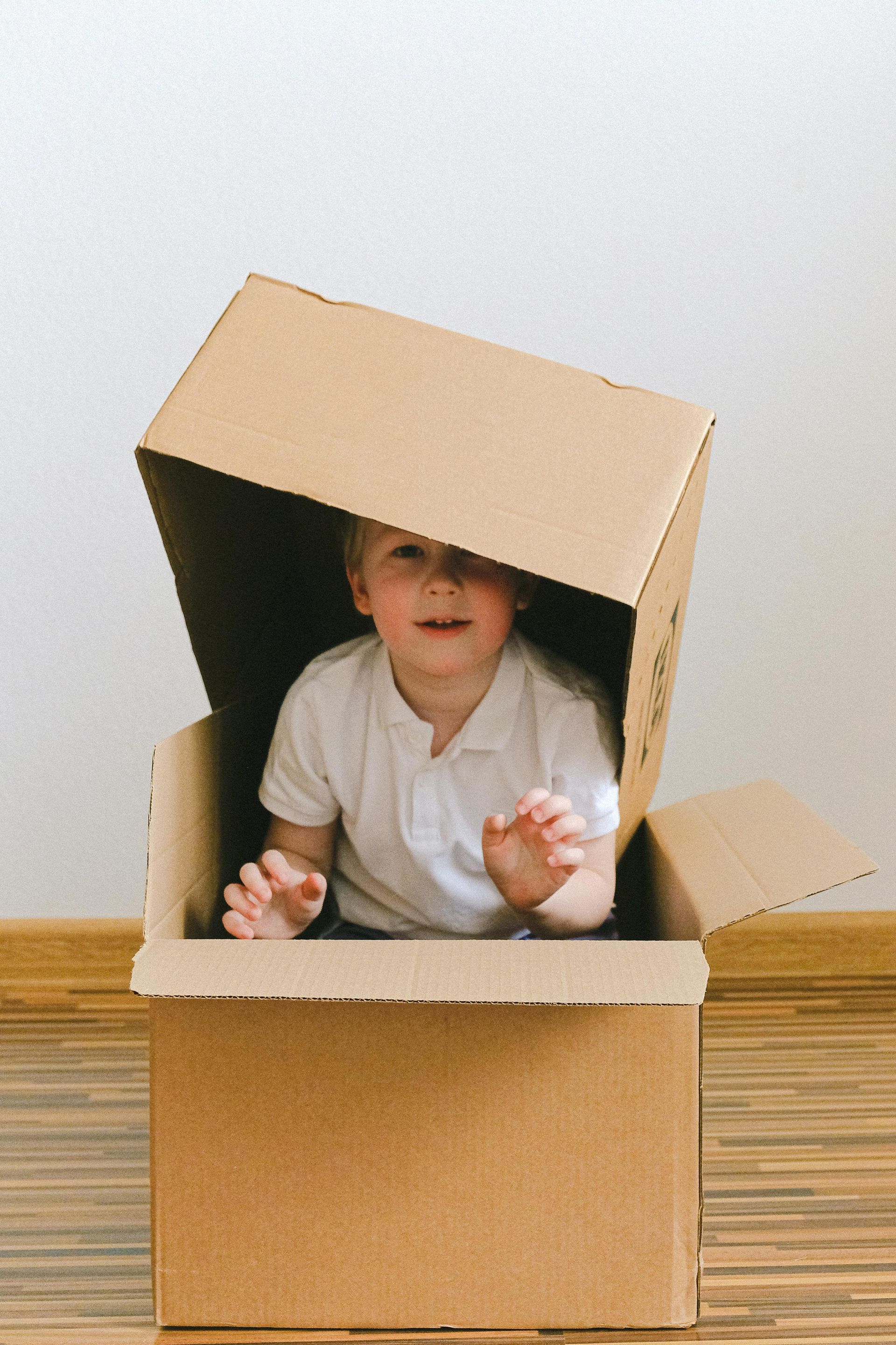 dumpster removal services