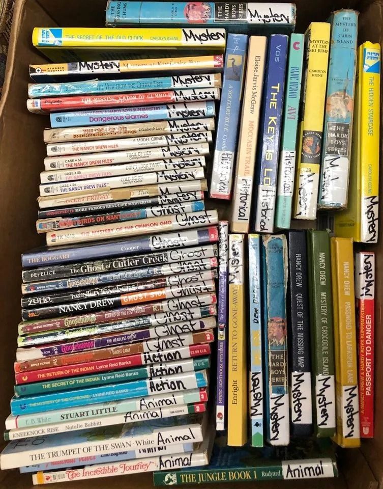A box filled with various books of different sizes and colors, most with handwritten titles.