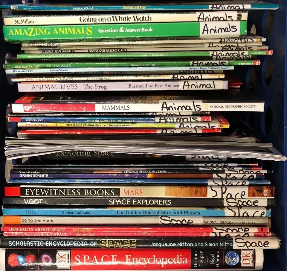 Books about animals and space stacked in a blue bin, with handwritten labels.