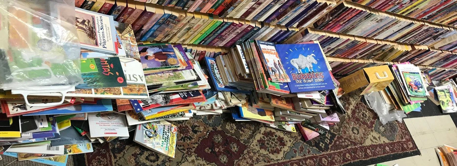 Bookshelves filled with books, with many more books on the floor in front.