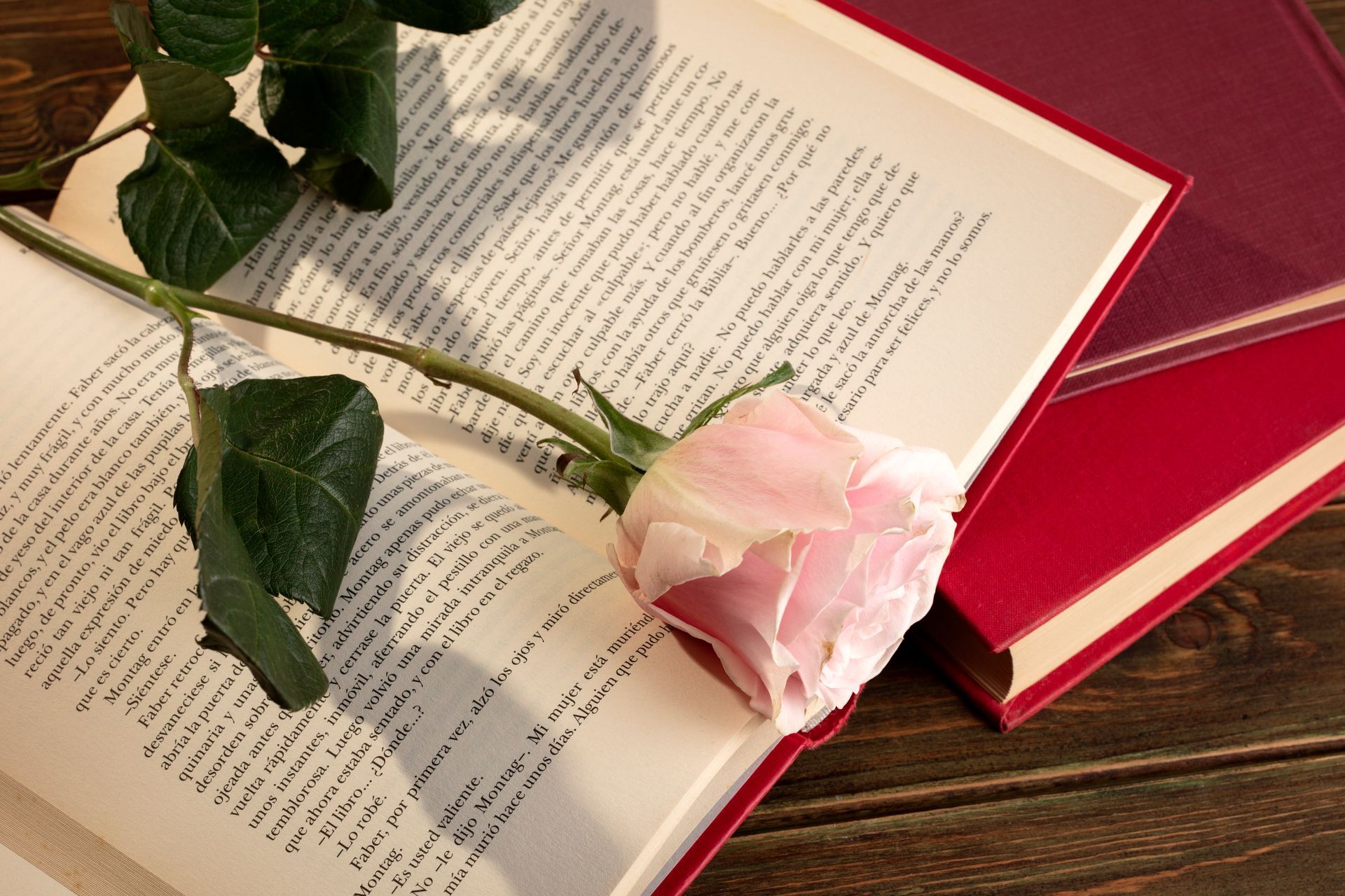 Open book with text, pink rose on the pages, and another book next to it on a wooden surface.