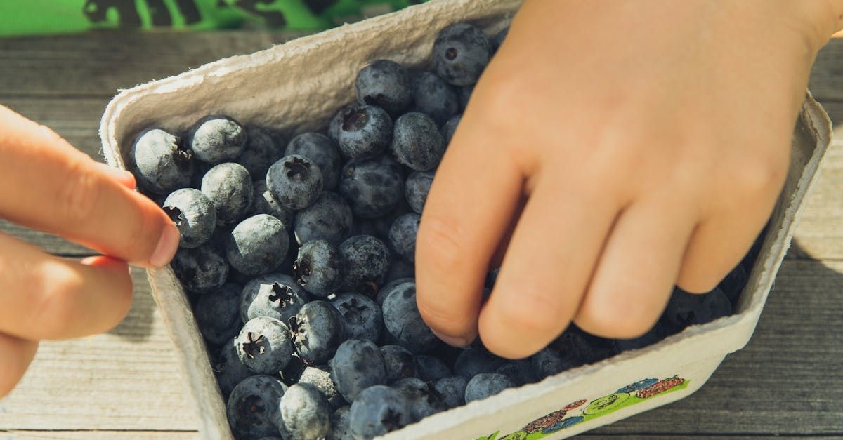 A child is picking blueberries from a cardboard box.