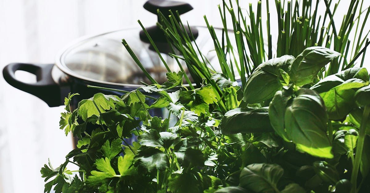 A pot filled with vegetables is sitting next to a bunch of herbs.
