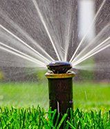 Sprinkler, Irrigation Services in Tampa, FL