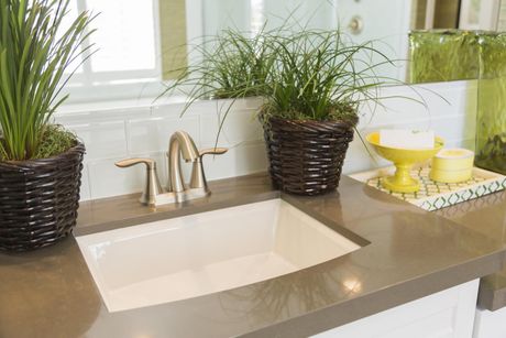 bathroom sink with plants