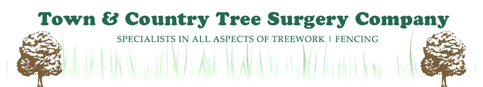 Town & Country Tree Surgery logo