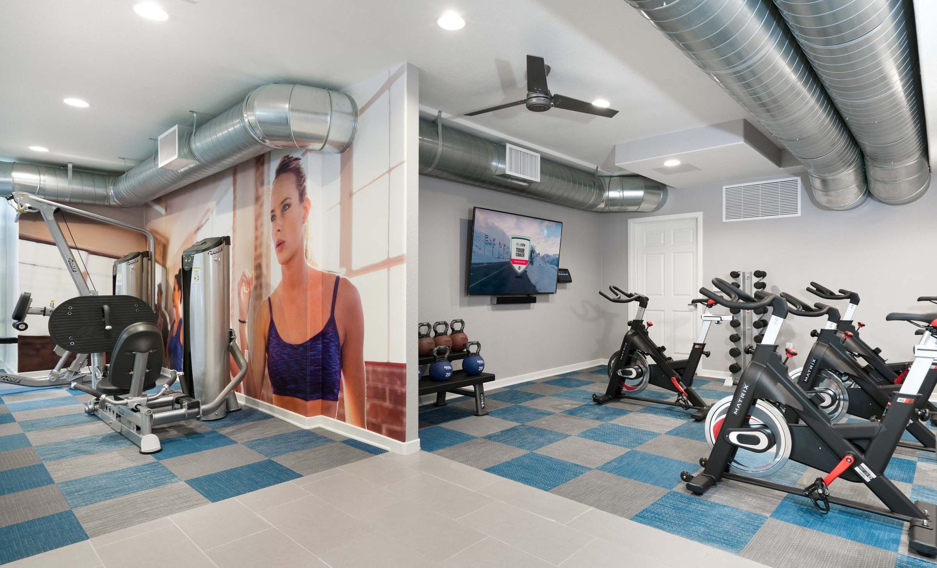 a gym with a lot of exercise equipment and a picture of a woman on the wall .