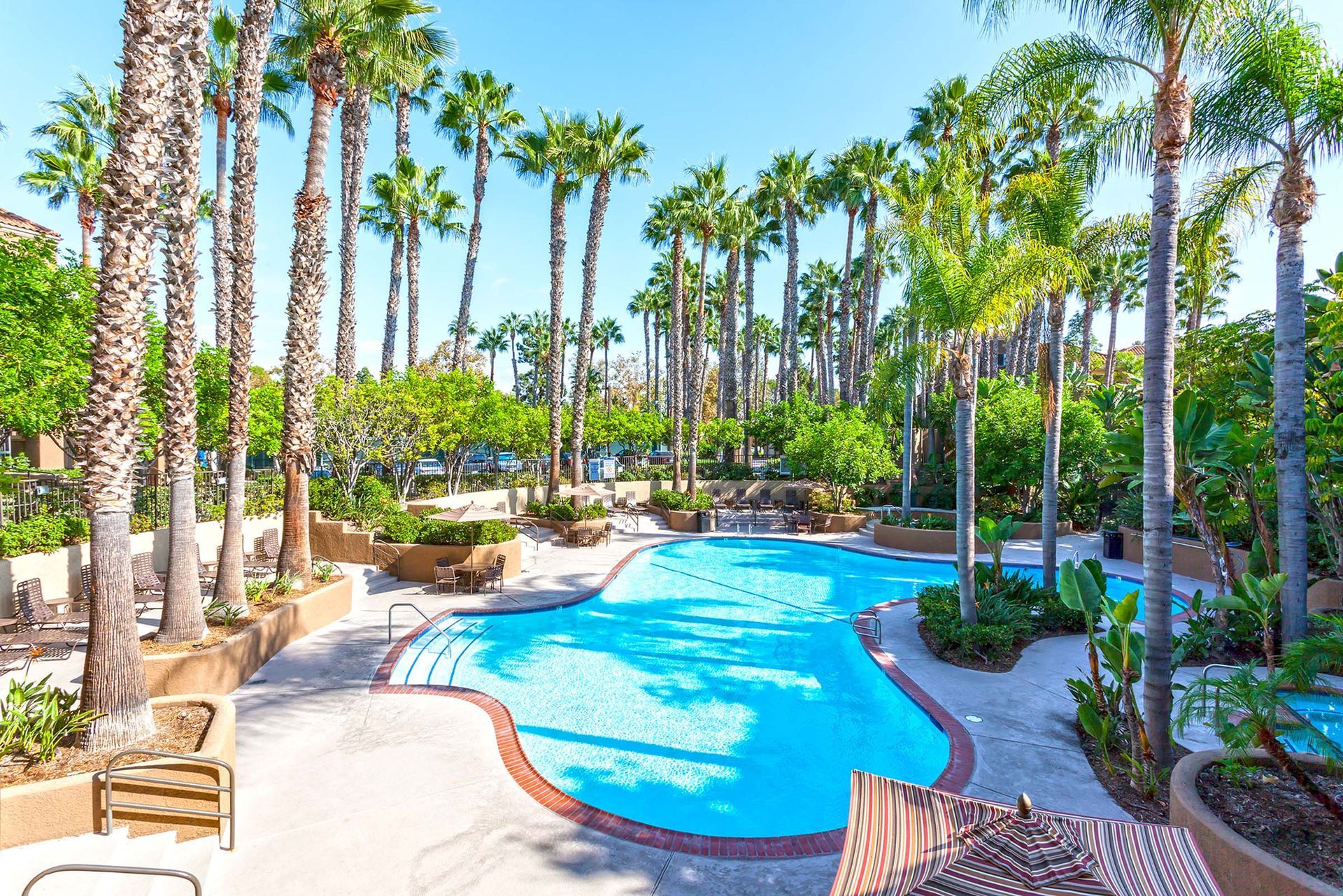 a large swimming pool surrounded by palm trees on a sunny day