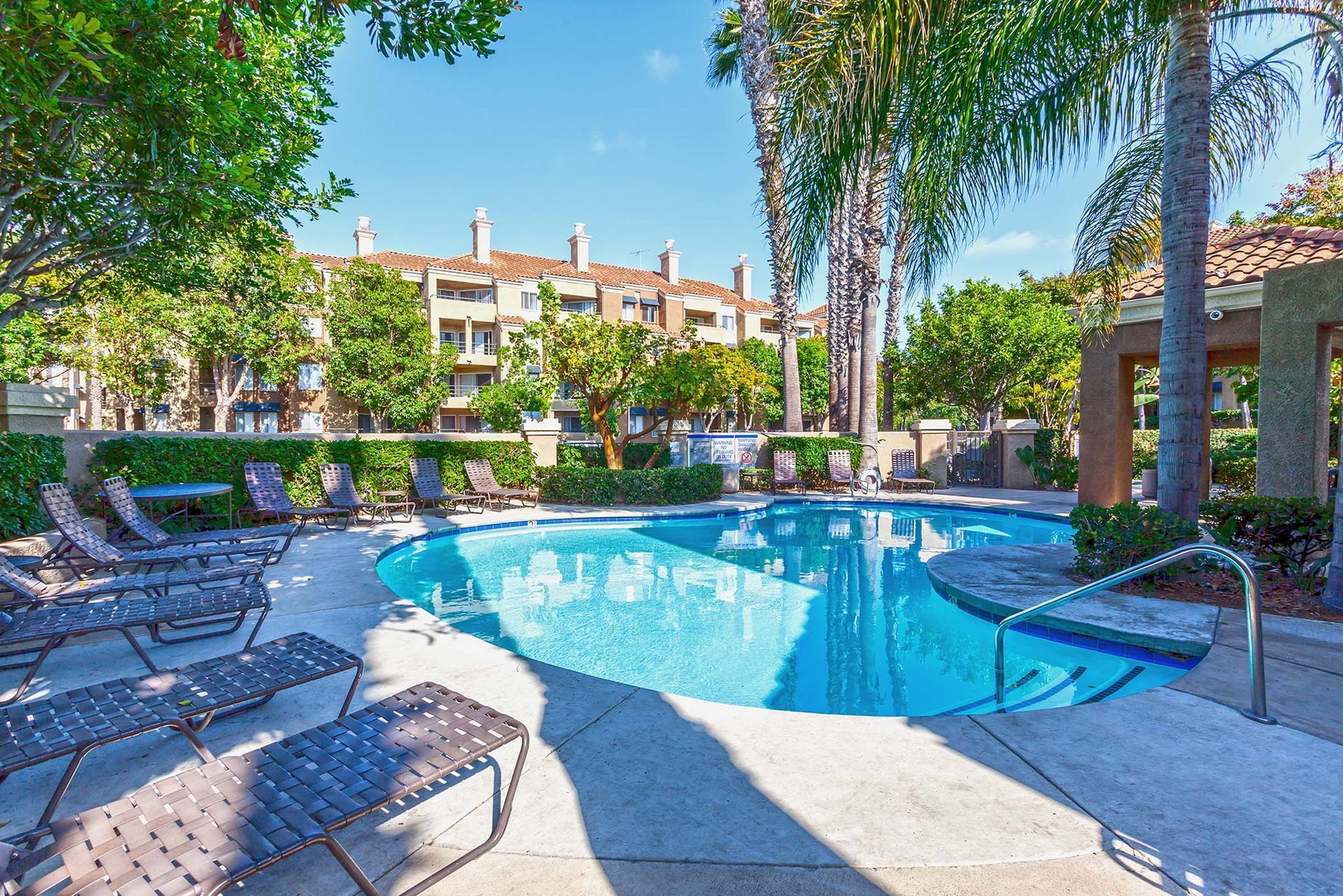 a large swimming pool surrounded by chairs and palm trees .