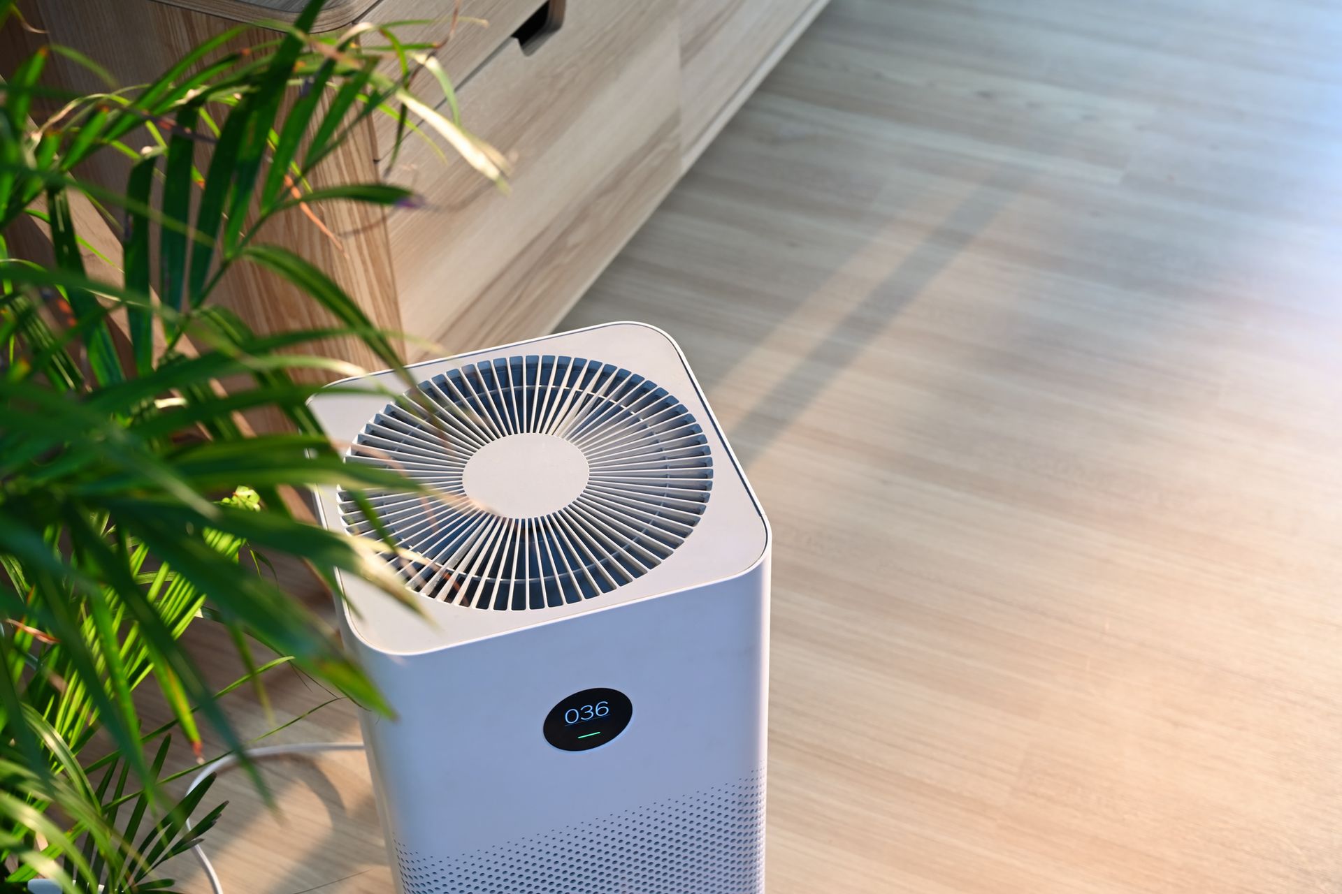 White air purifier next to a green leafy plant, on a wooden floor in a room.