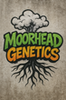 Moorhead Genetics 