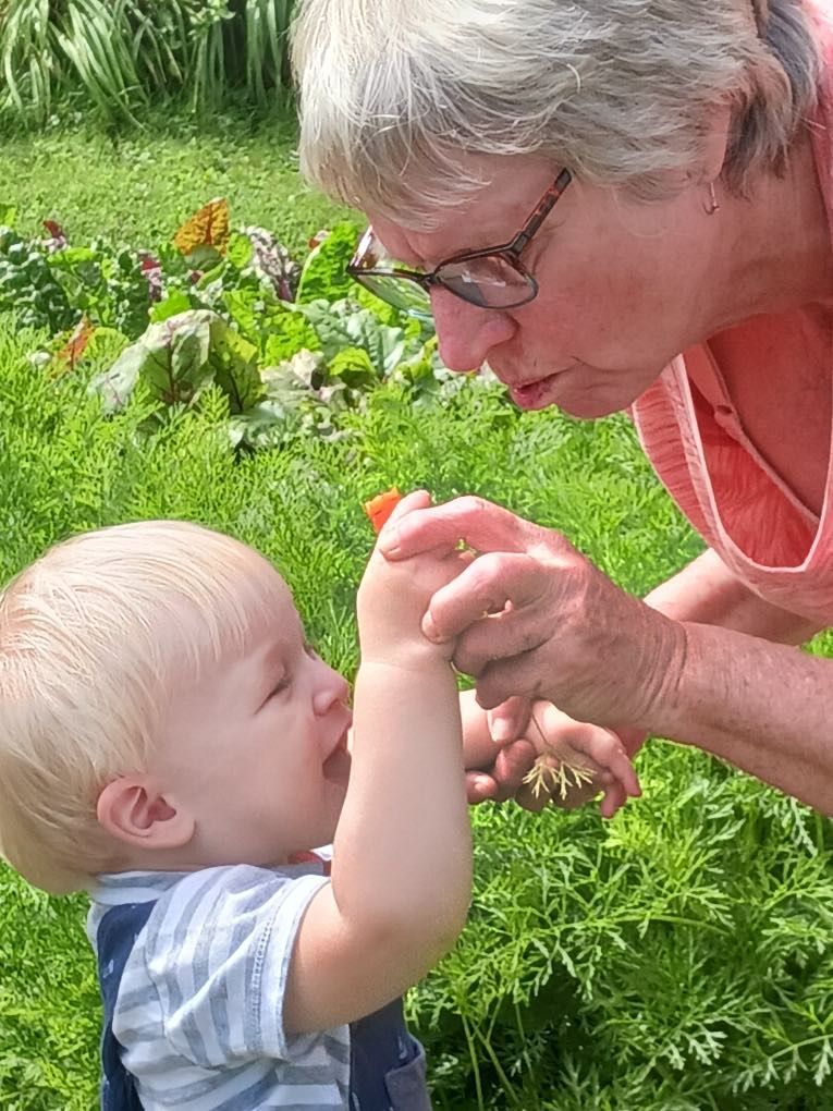 A picture of Joanne Pye on the Board of Directors