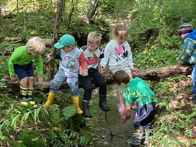 Preschoolers playing outside above a stream