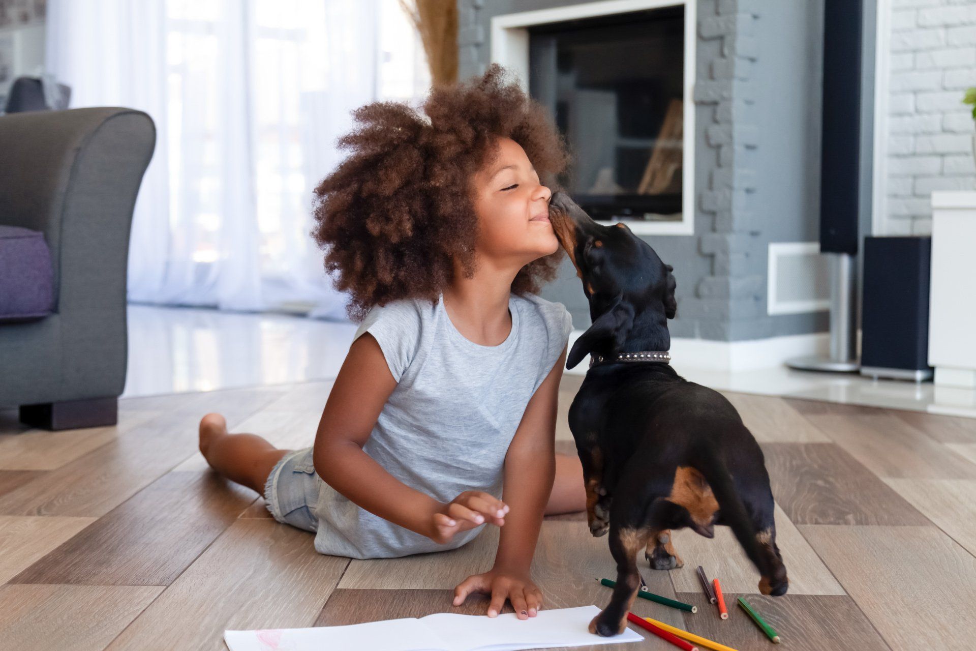 Dachshund licking little girls face