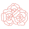 A drawing of three roses on a white background.