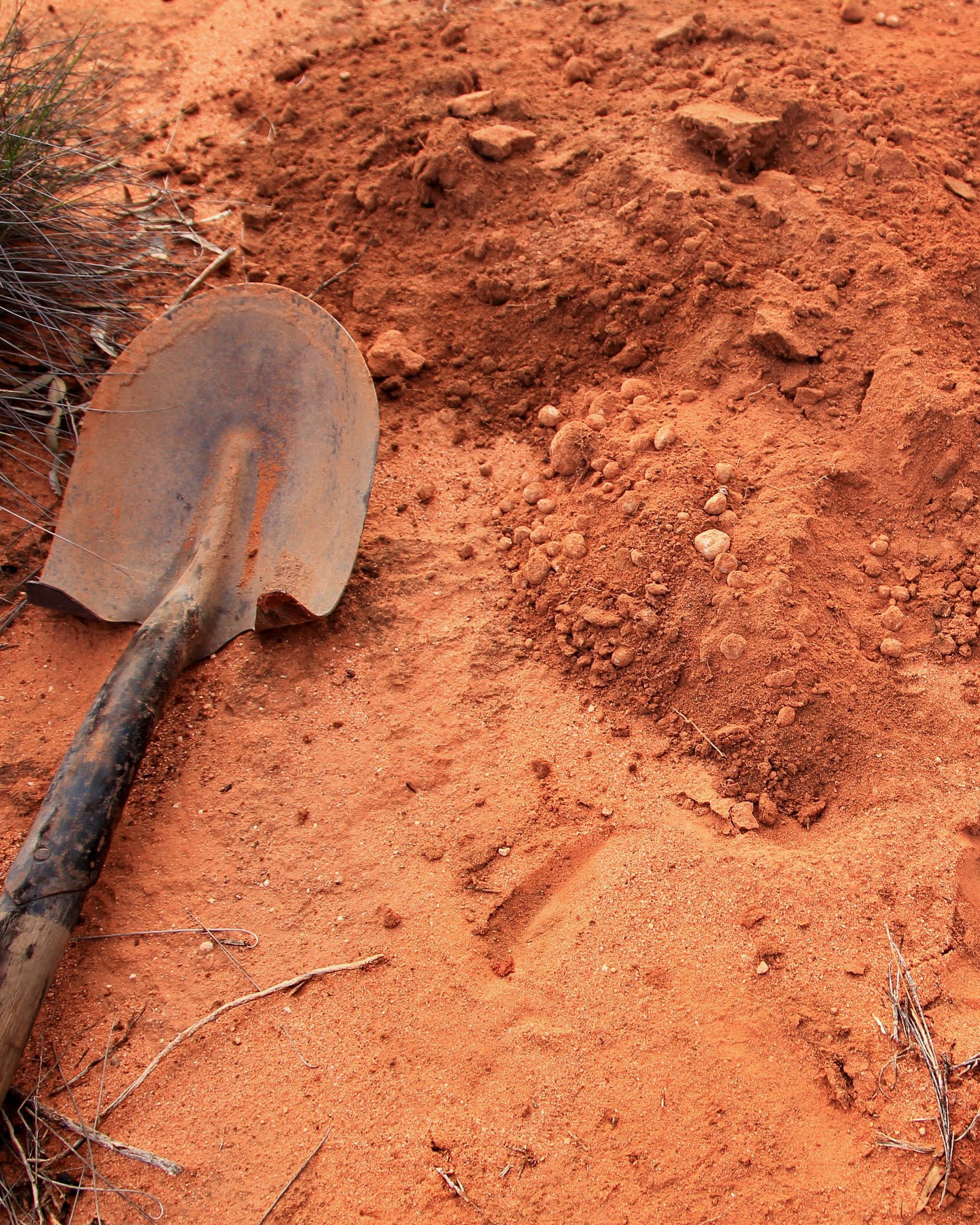 Shovel resting in reddish-orange dirt, near low-lying brush.