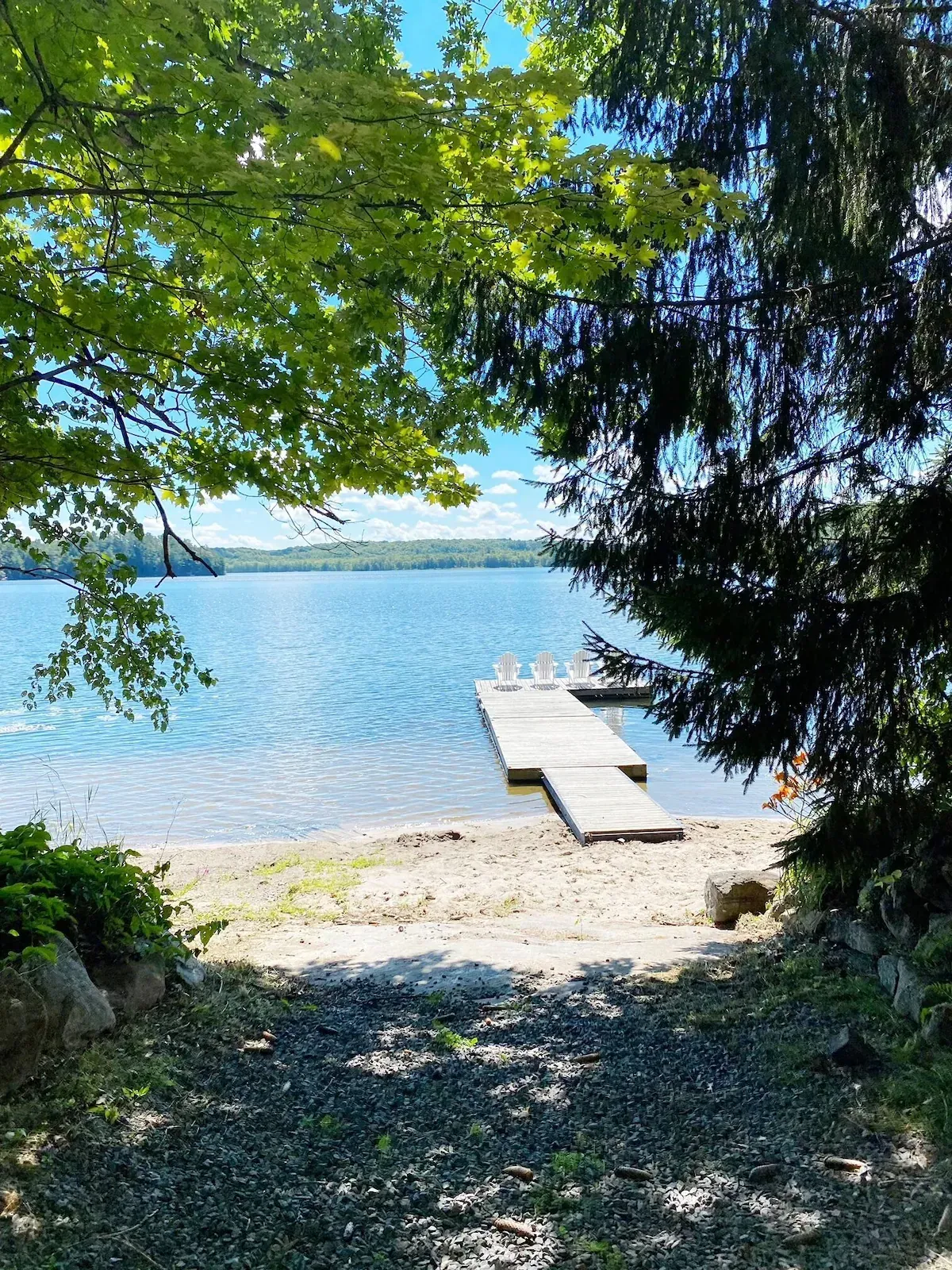 A dock is sitting on the shore of a lake surrounded by trees.