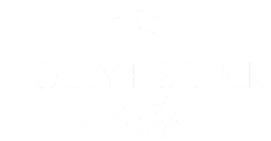 Holly Fischer Real Estate A white background with a few lines on it