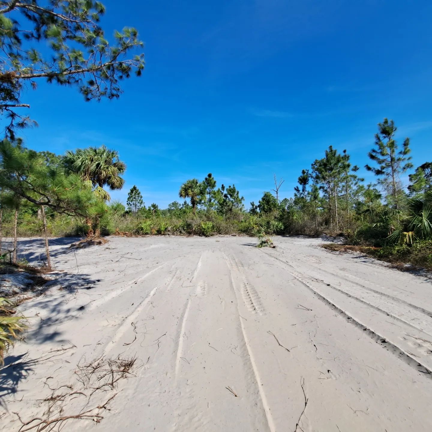 A dirt road with trees in the background and a blue sky