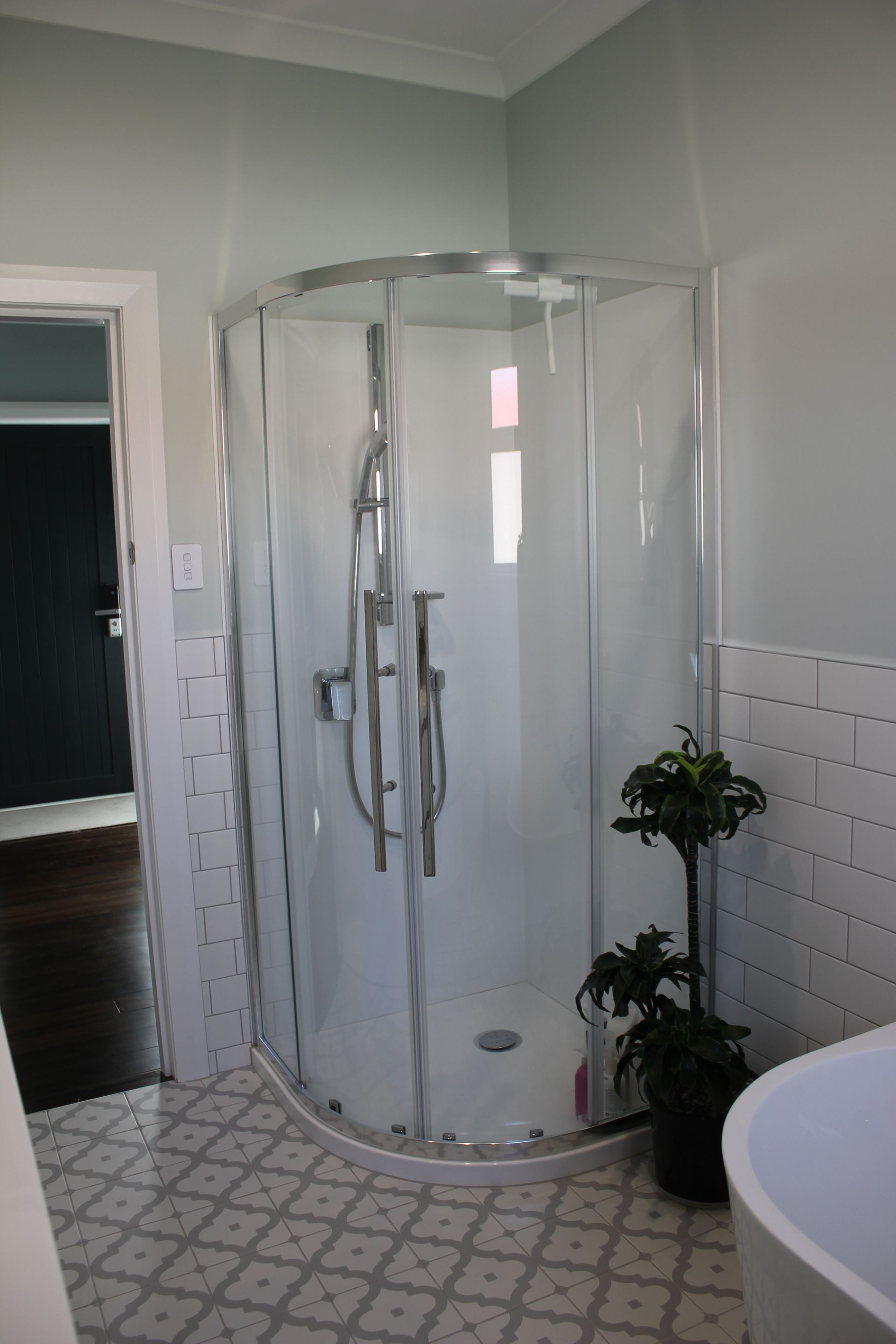A bathroom with a shower , tub , and plant.