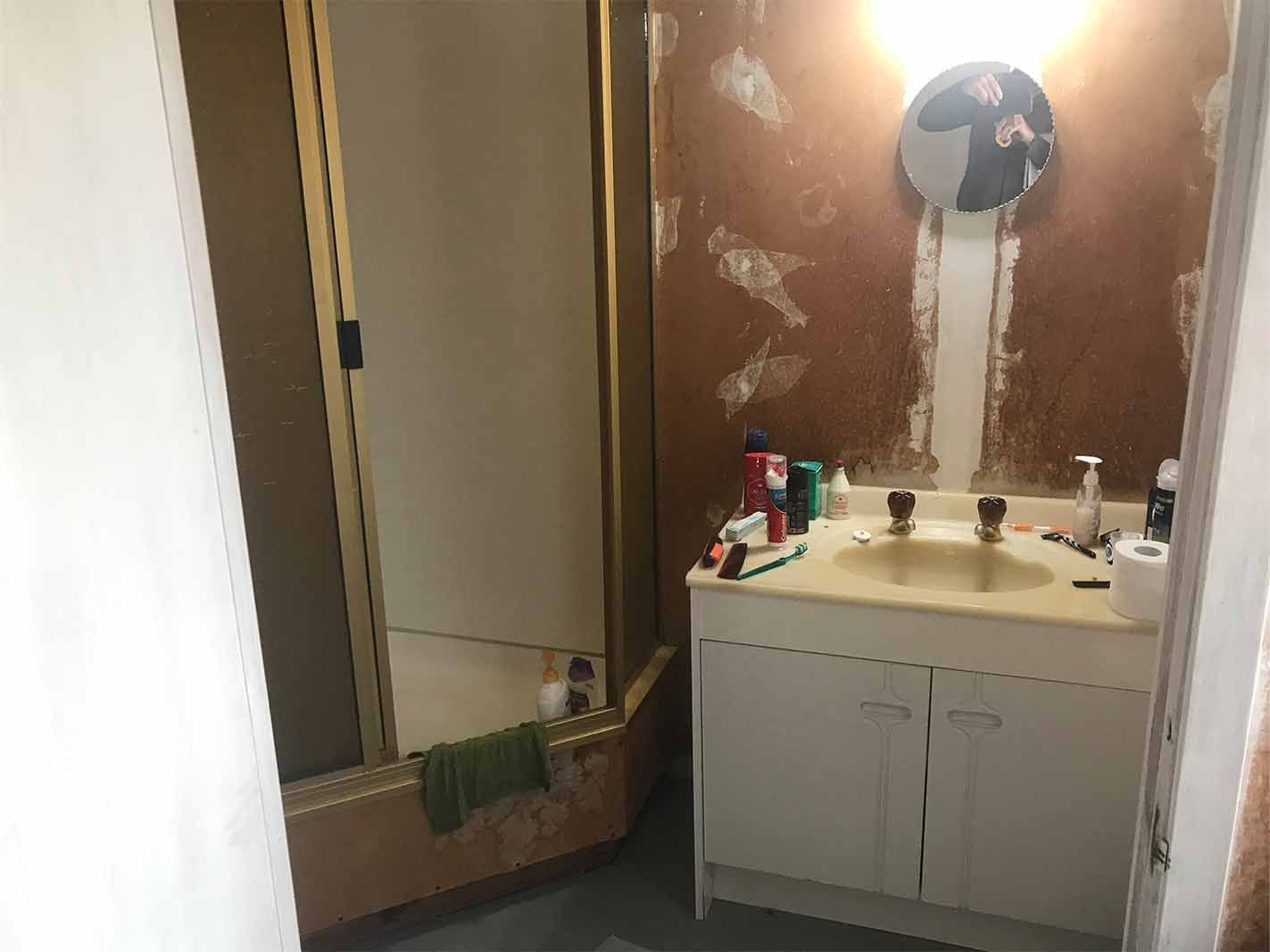 bathroom shower and vanity before