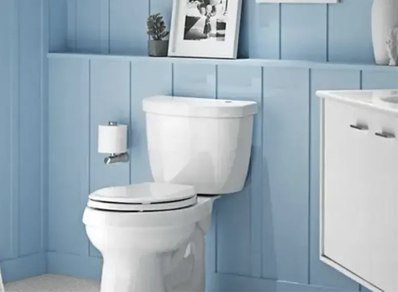 Renovated Toilet