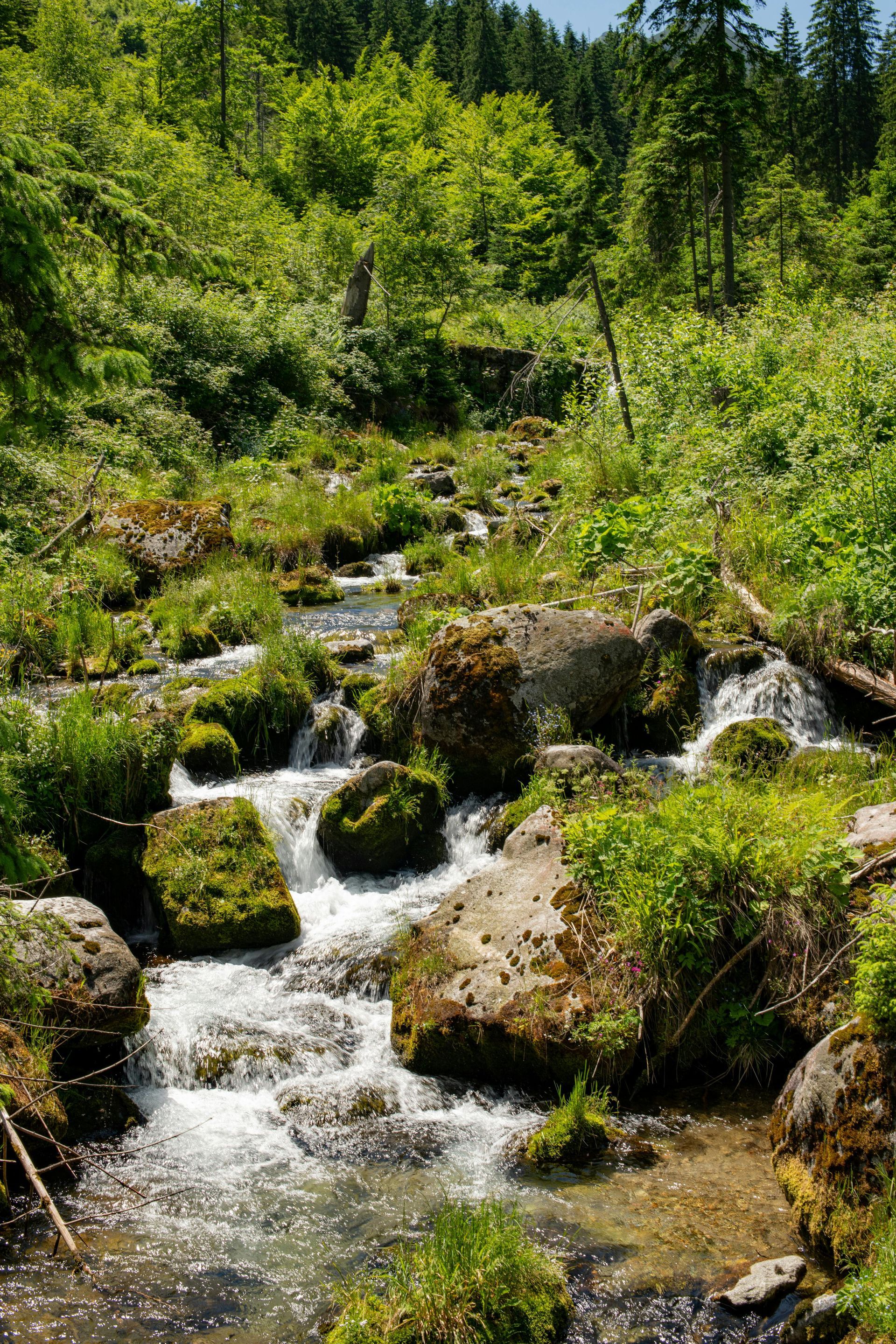 TCM, Chinese geneeskunde, gezondheid, oefeningen, ontspanning, loslaten , persoonlijke ontwikkeling, persoonlijke groei, 