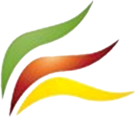 Apache Brave Logo