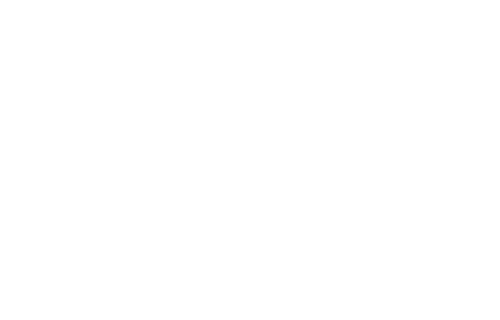 TWI Leadership logo