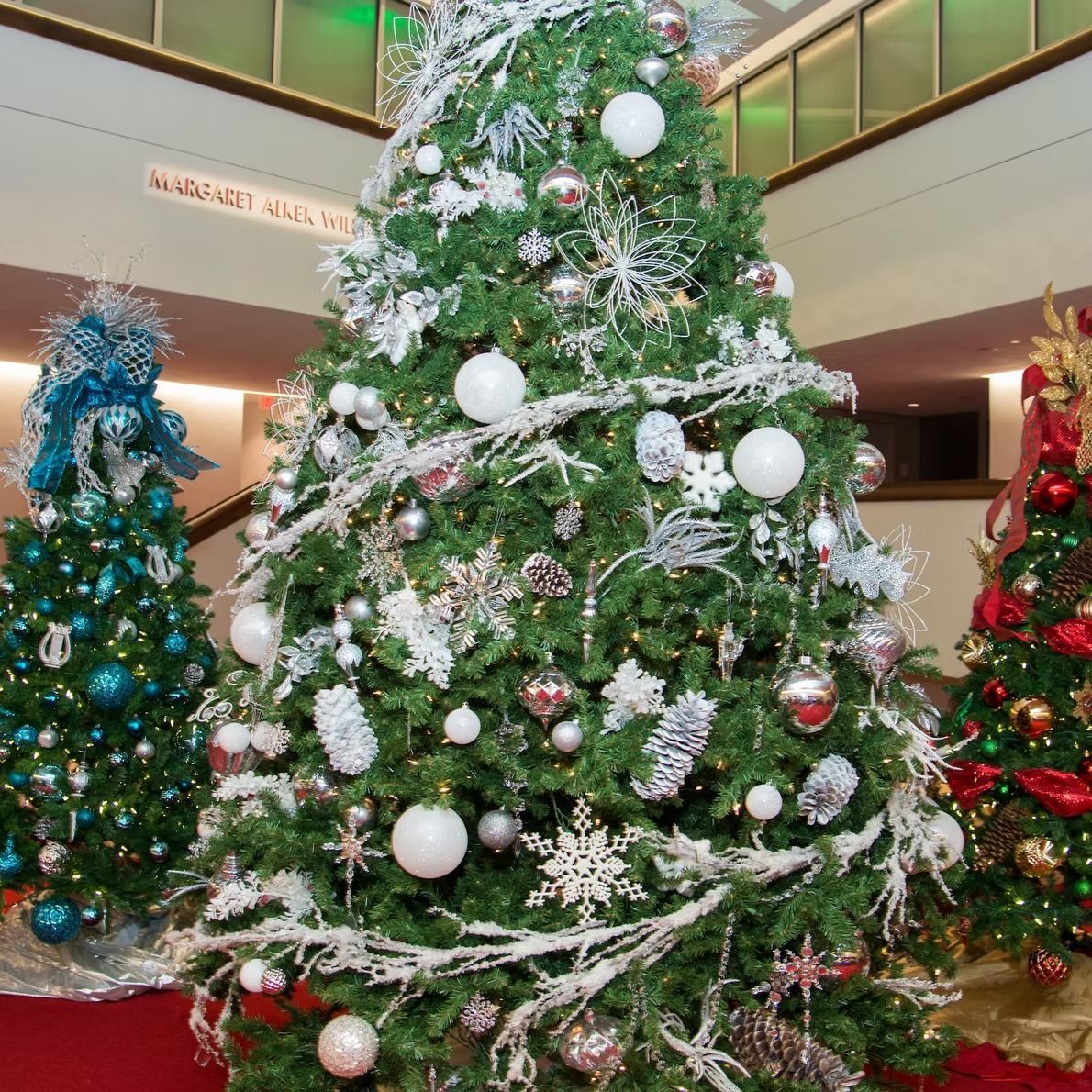 Three decorated Christmas trees in an indoor setting. The main tree is large and has white and silver decorations.