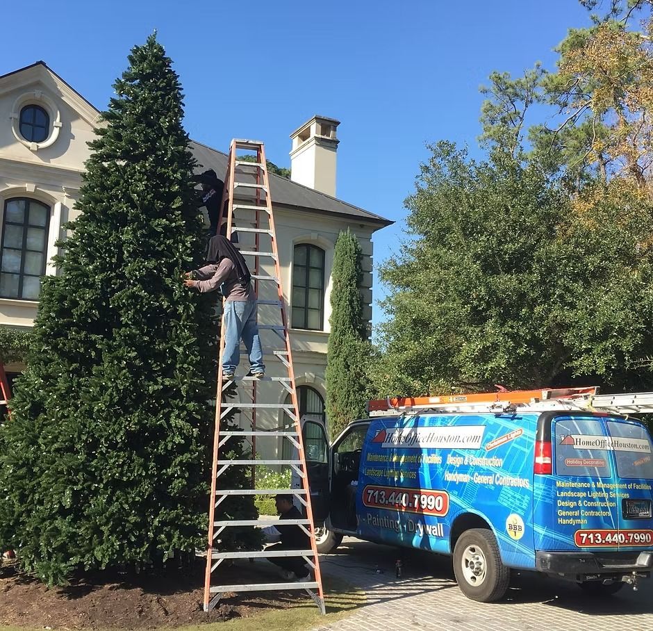 Man trimming a tall evergreen tree near a house. Ladder and a blue service van are present.