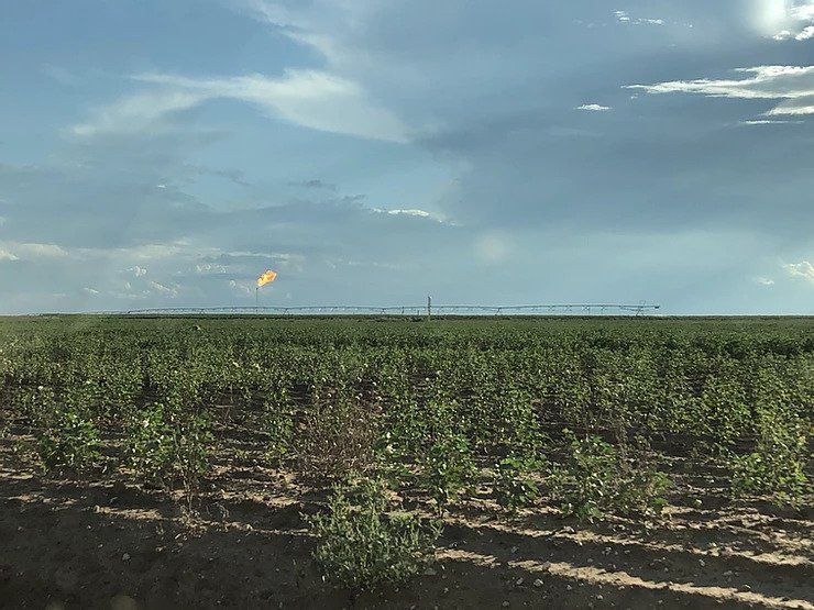 Agricultural Farm — Cleburne, TX — Bradley Law Firm