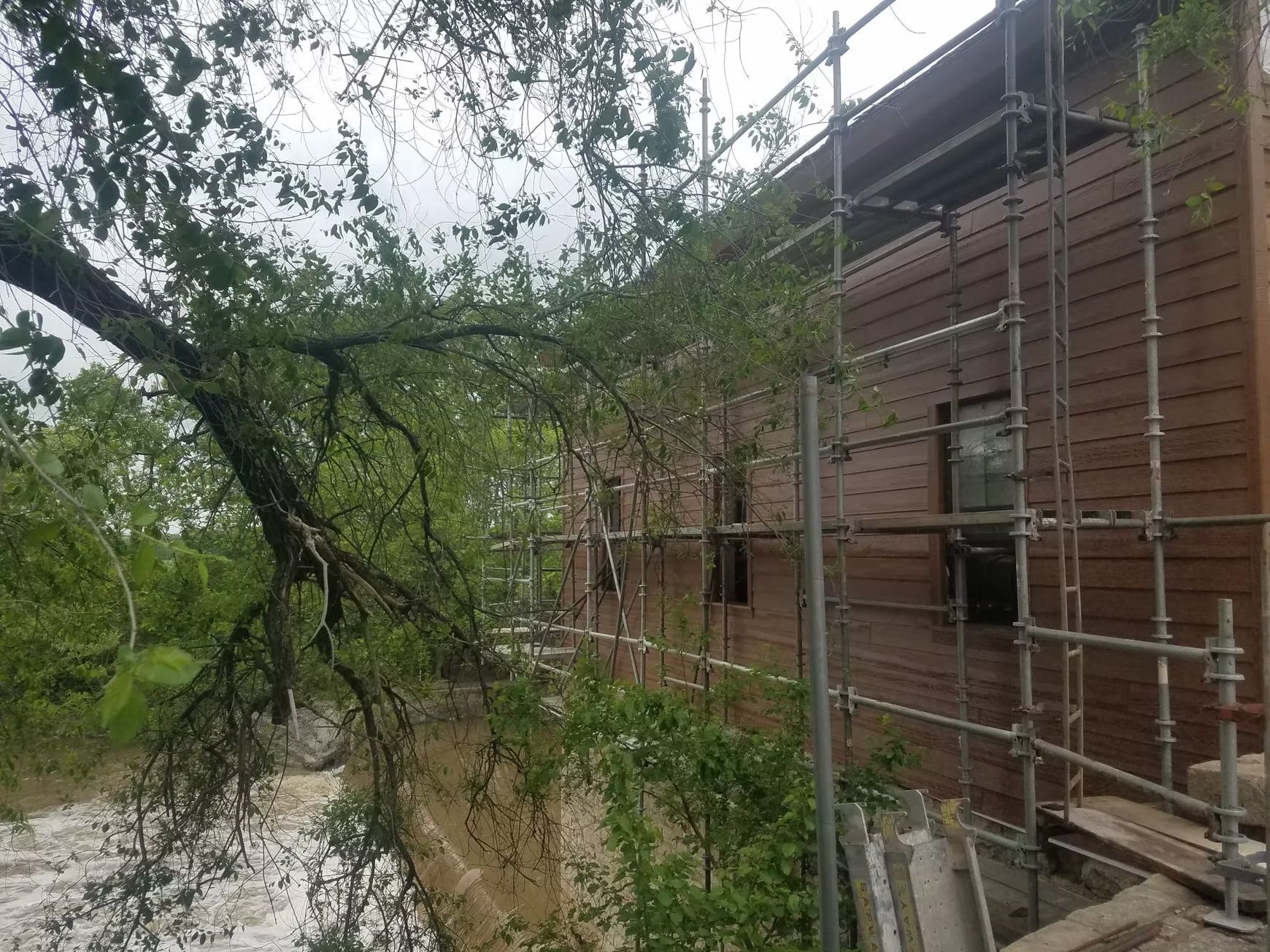 A tree branch hangs over a building with brown siding and scaffolding. Overcast sky.