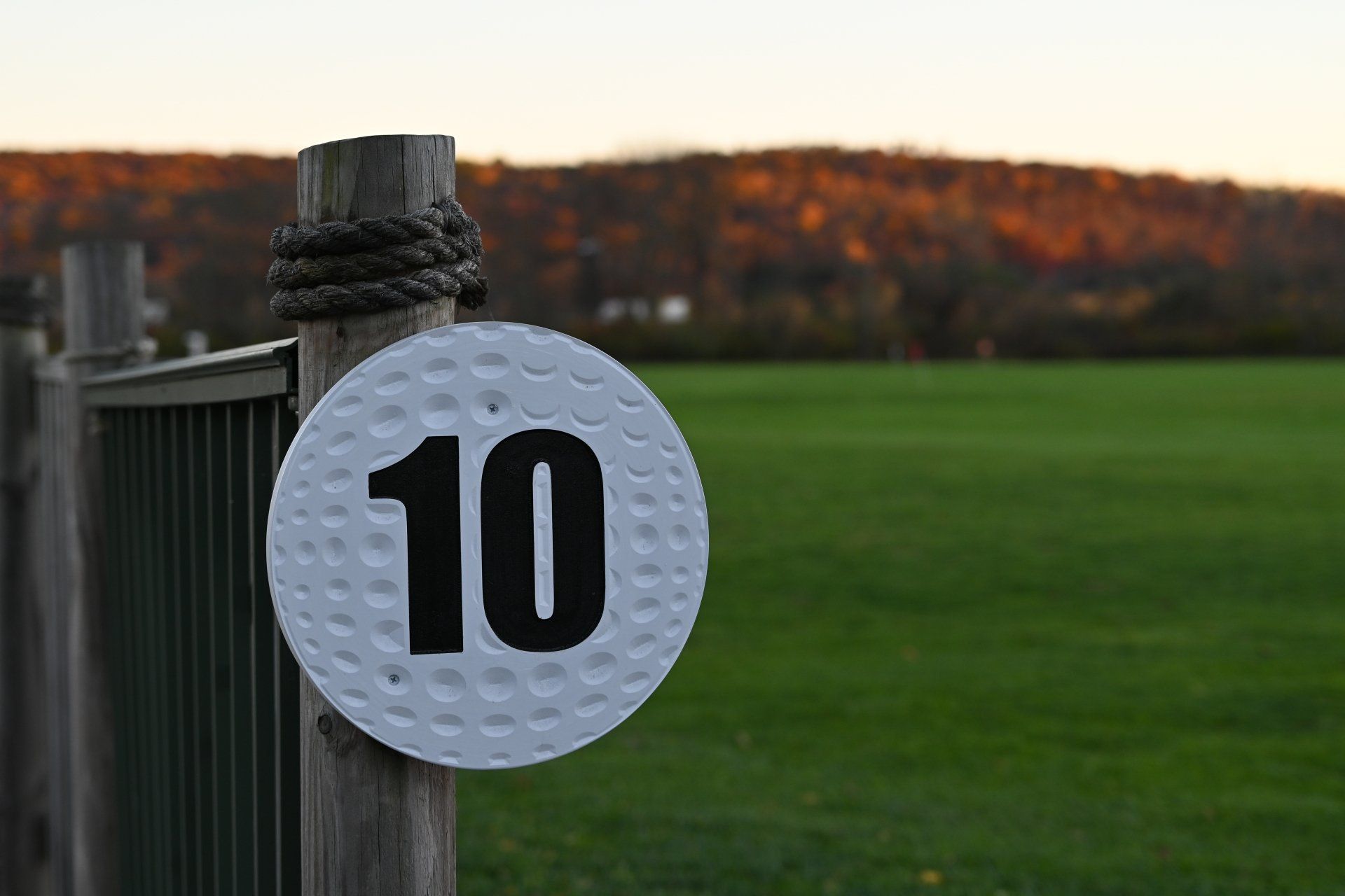 A golf ball with the number 10 on it