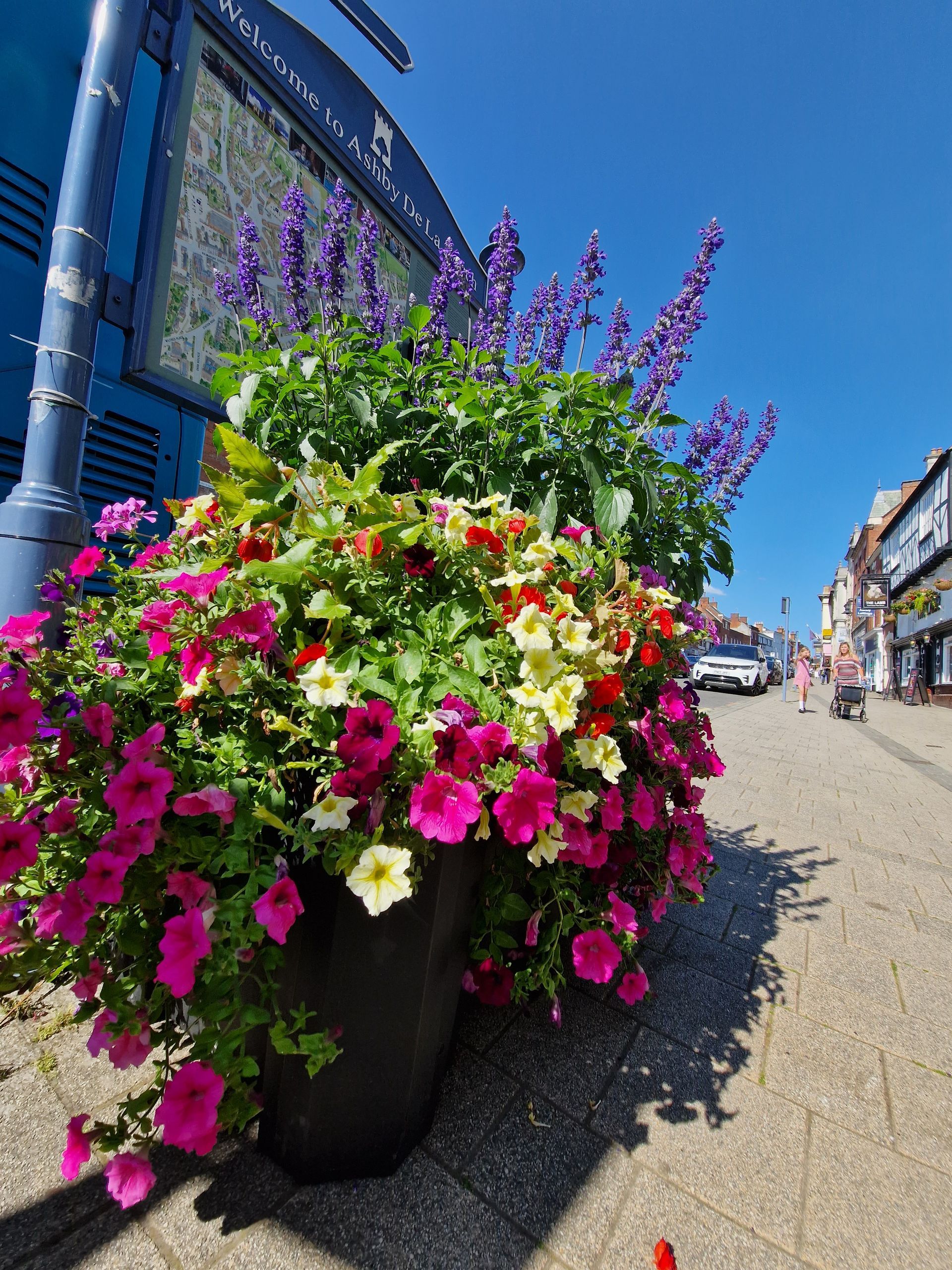 A bunch of flowers in a black pot on the sidewalk