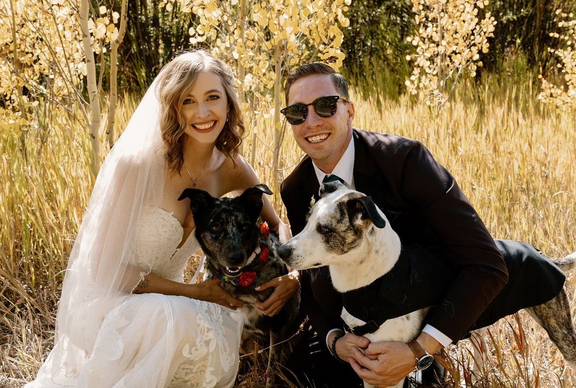 Bride and groom with two dogs smiling in an autumnal setting.