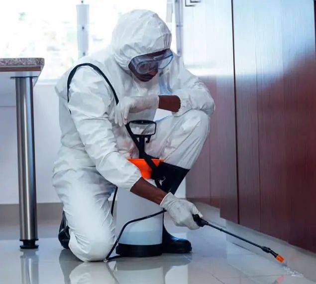 CONTROL DE PLAGAS INTERNACIONAL CENTINELA