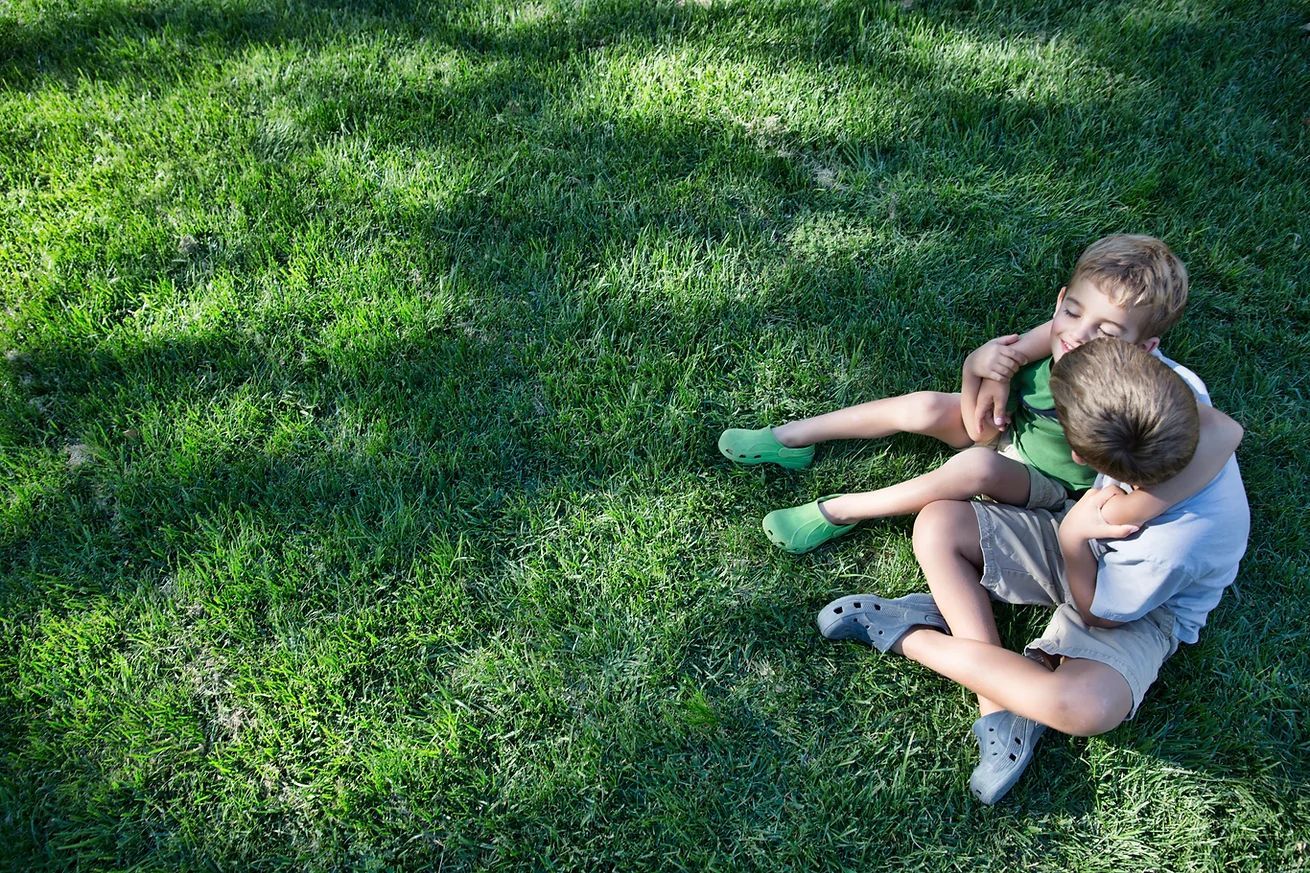 CONTROL DE PLAGAS INTERNACIONAL CENTINELA