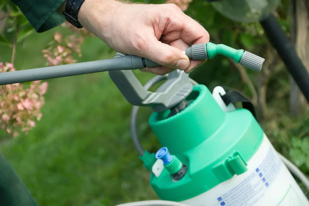 CONTROL DE PLAGAS INTERNACIONAL CENTINELA