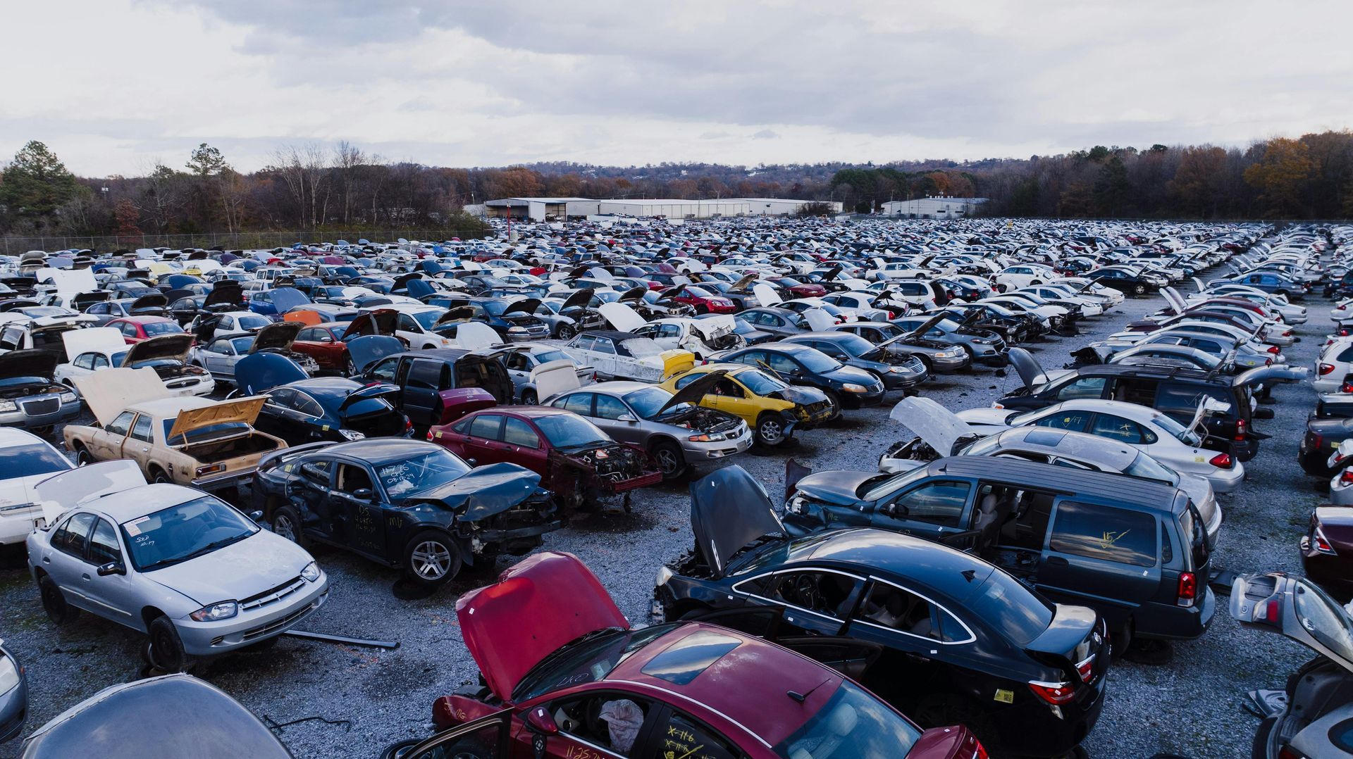 A sprawling, dense salvage yard filled with rows of wrecked and dismantled cars under a cloudy sky.