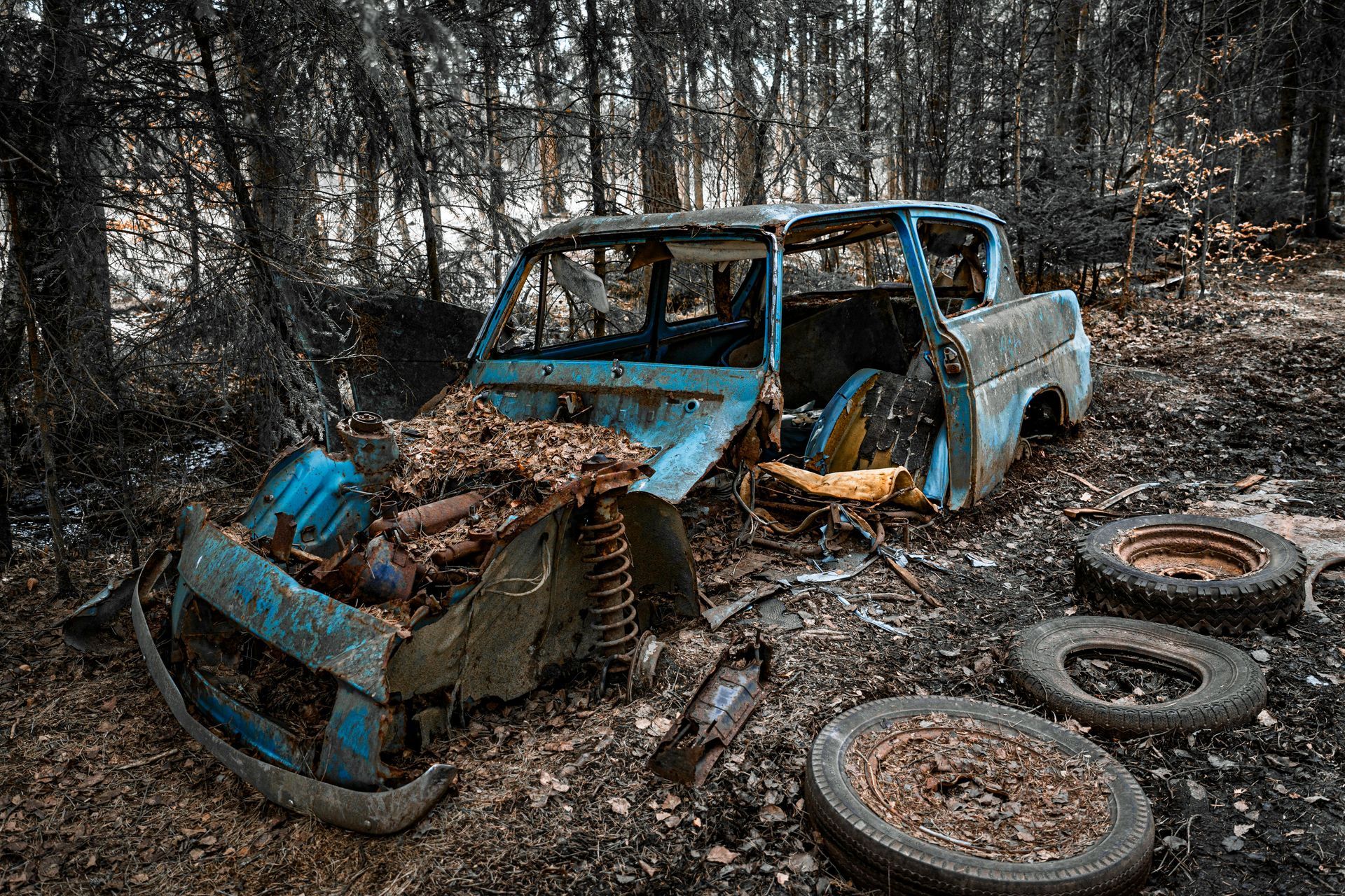 A rusted, blue abandoned car frame sits in a burnt forest clearing, with three discarded tires resting nearby.