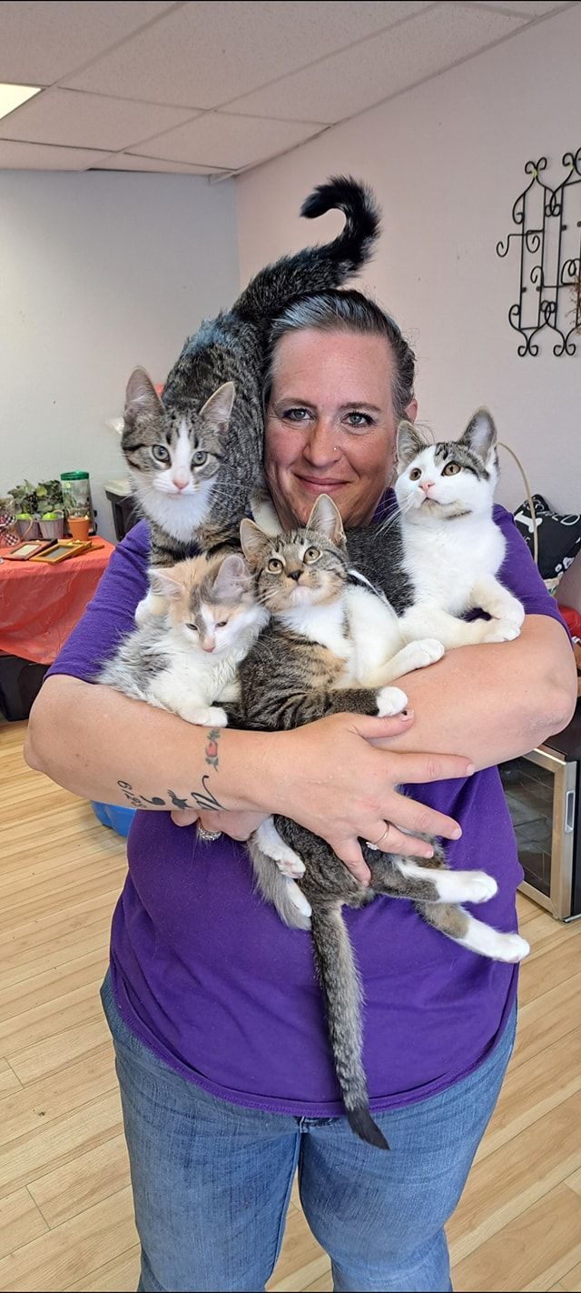 A woman in a purple shirt hugs five kittens, one on her head, indoors with light wood floors.